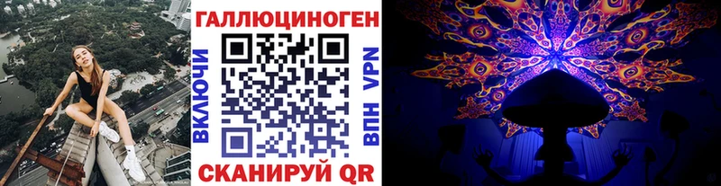 Псилоцибиновые грибы Psilocybine cubensis  Нязепетровск 